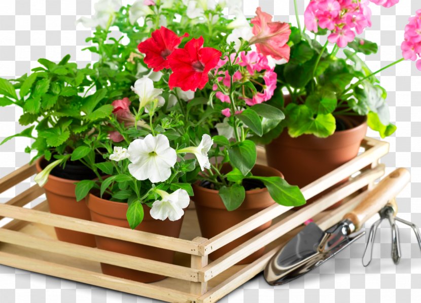 Paradies Gärten Wesel Garden Flowerpot Floral Design - House Transparent PNG