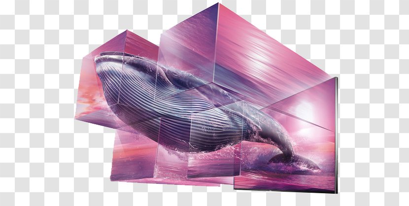 Advertising Art Director Creativity Television - Lg Electronics - Whale Transparent PNG