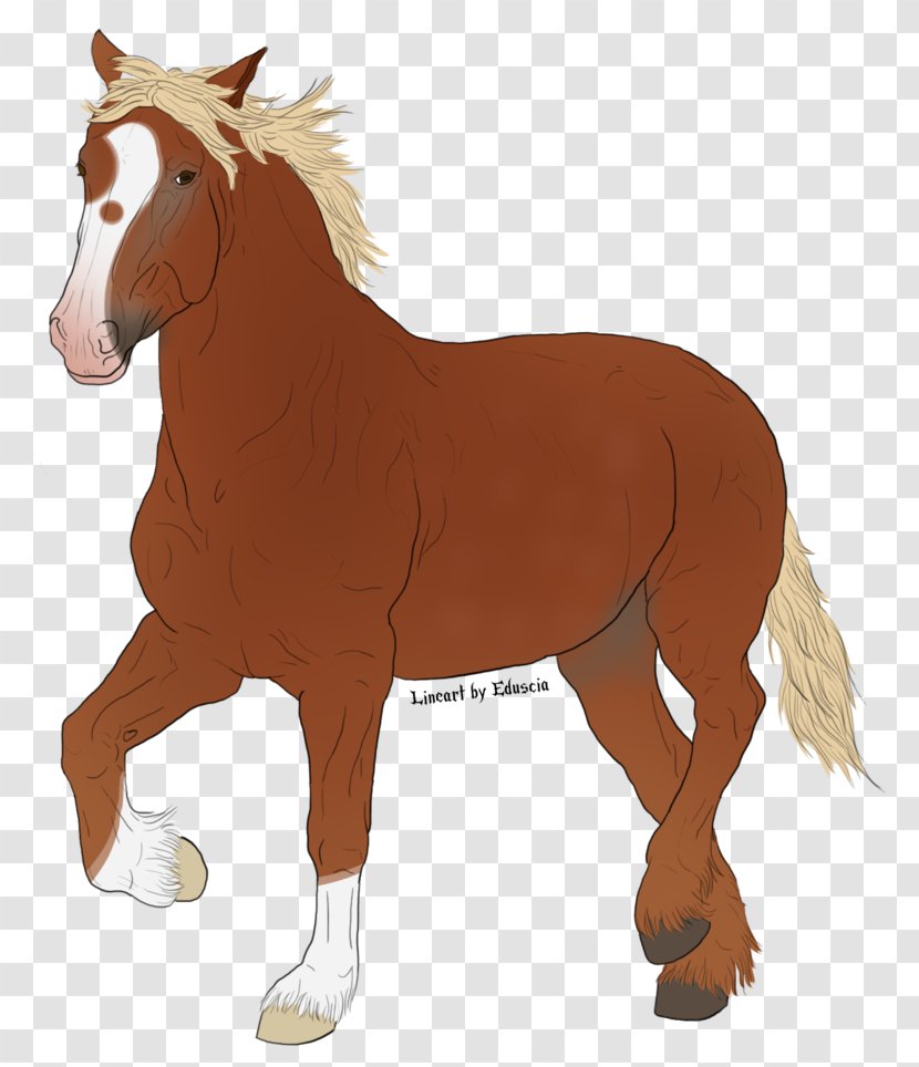 Mustang Mare Foal Stallion Rein - Horse Tack - Irish Lass Transparent PNG