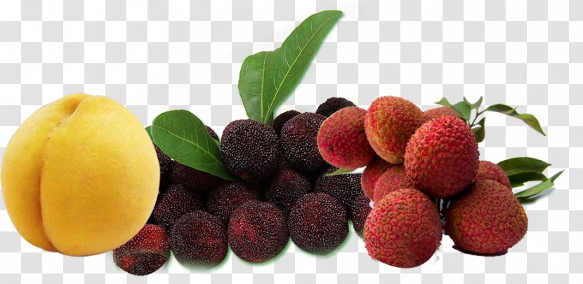 Yangmei District Juice Fruit Morella Rubra - Berry - Peach Litchi Transparent PNG