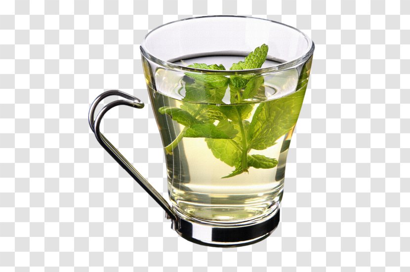 Green Tea Leaf - Distilled Beverage - Kuding Herb Transparent PNG