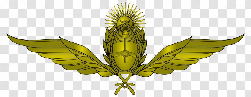 Argentina Argentine Air Force Military Armed Forces Of The Republic - Commodity Transparent PNG