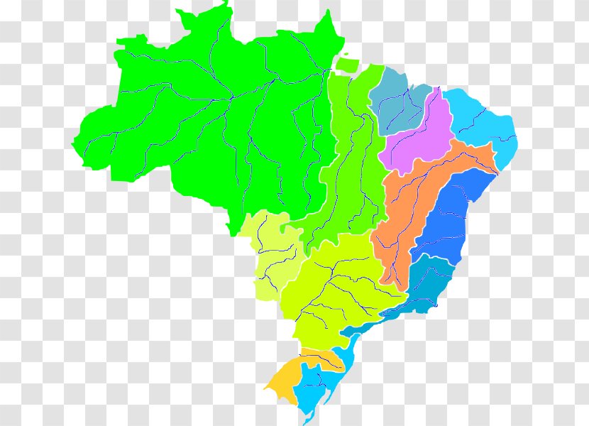Brazil Royalty-free - Tree - Map Transparent PNG
