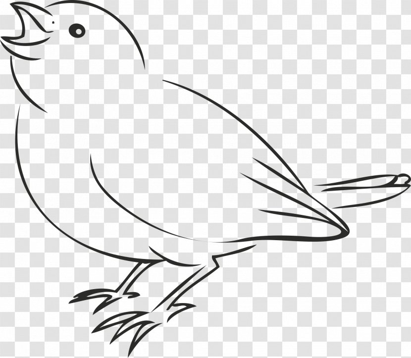 House Sparrow Bird Drawing Clip Art - Birds Line Transparent PNG