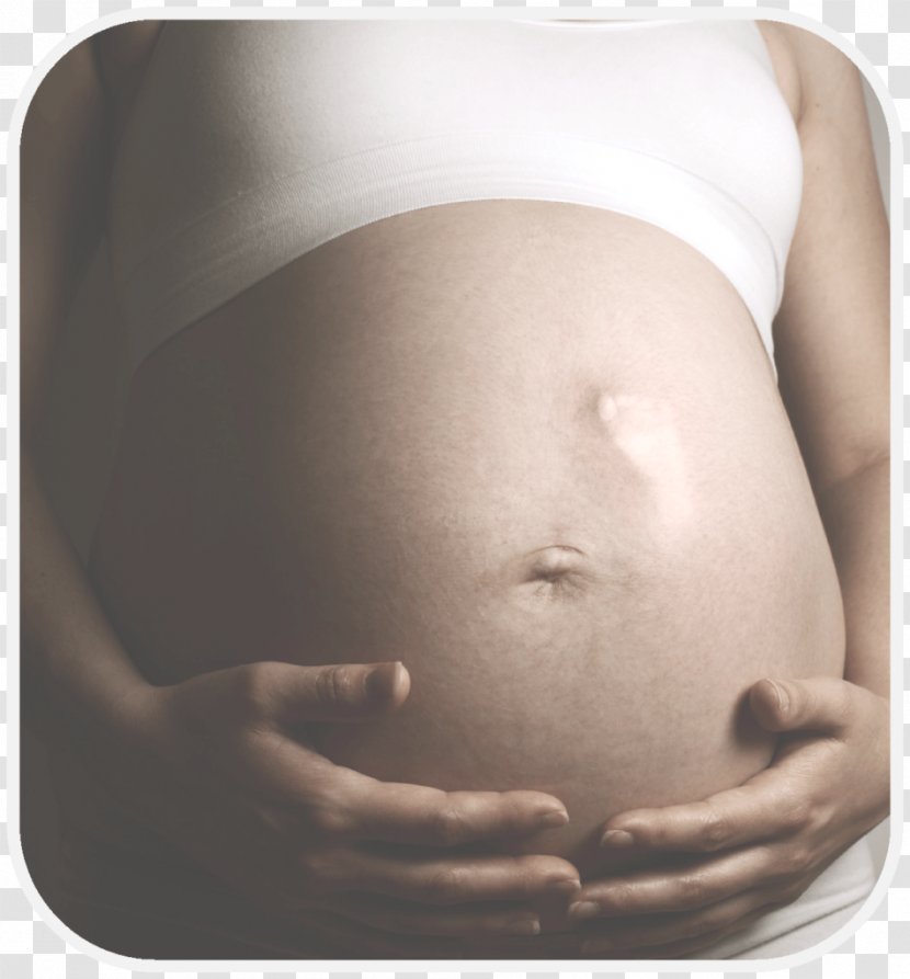 Infant Pregnancy Fetal Movement Fetus Child - Watercolor - Pregnant Transparent PNG