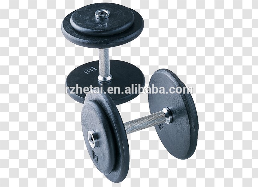 Dumbbell Barbell Exercise Fitness Centre Weight - Squat - Arabic Style Transparent PNG