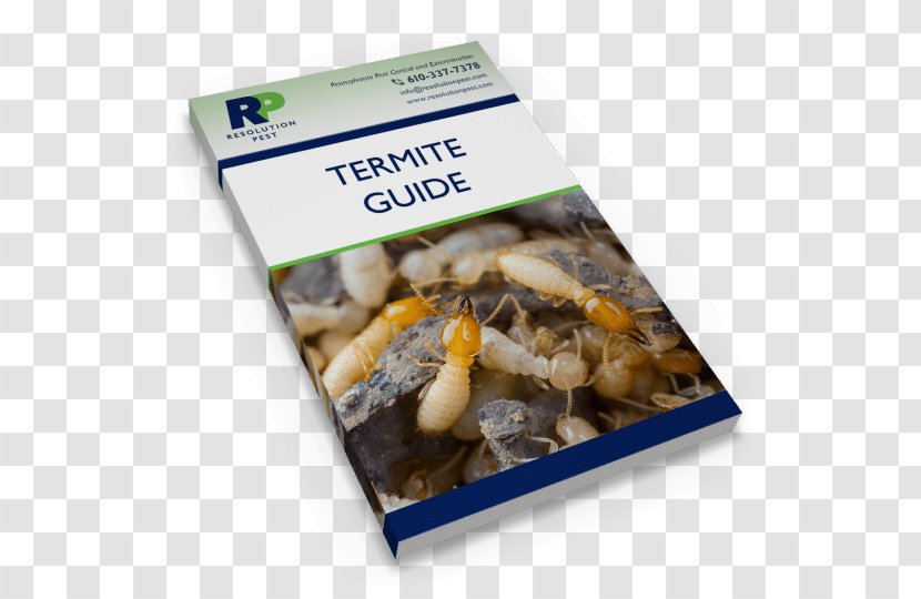 Termite Pest Swarming Recipe How-to - Howto - Destroying Transparent PNG