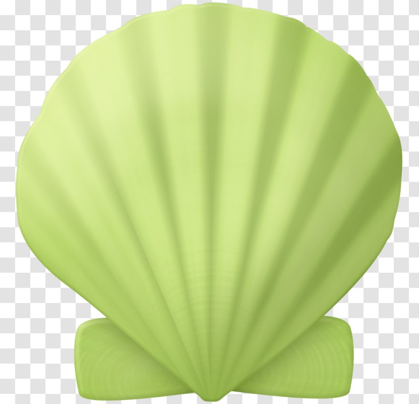Clip Art Seashell Image Mermaid Paper - Shells Summer Vector Transparent PNG
