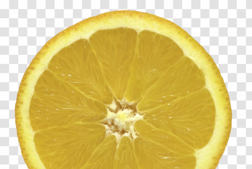 Lemon Rangpur Tangelo Grapefruit Bitter Orange - Sweet Transparent PNG