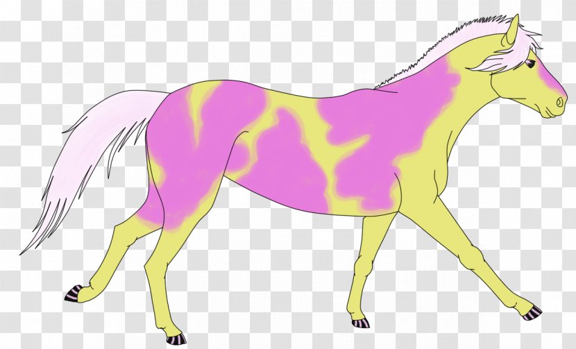 Mule Foal Stallion Mare Colt - Donkey - Mustang Transparent PNG