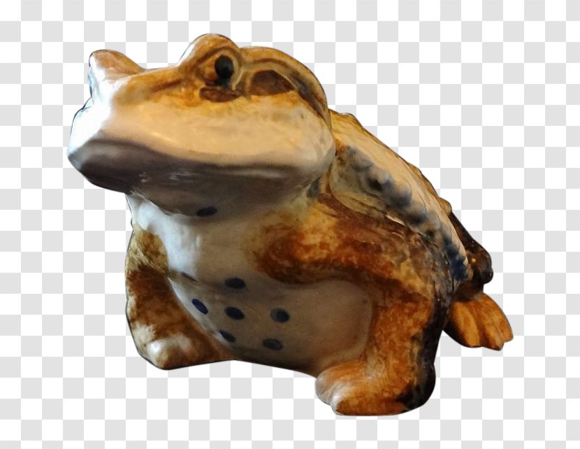 Japanese Common Toad True Frog Amphibian - Snout Transparent PNG