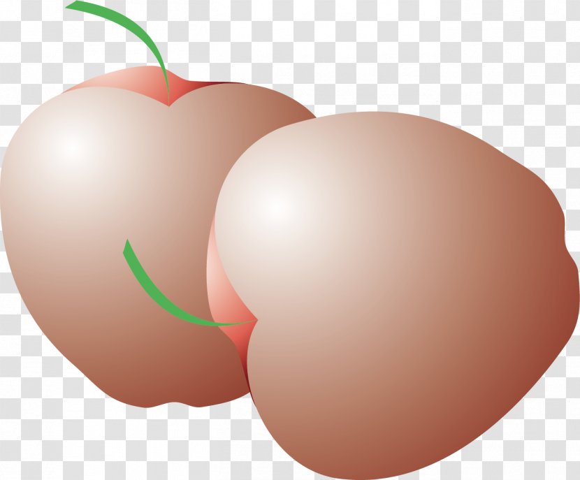 Apple Pear Fruit - Silhouette - Vector Material Transparent PNG