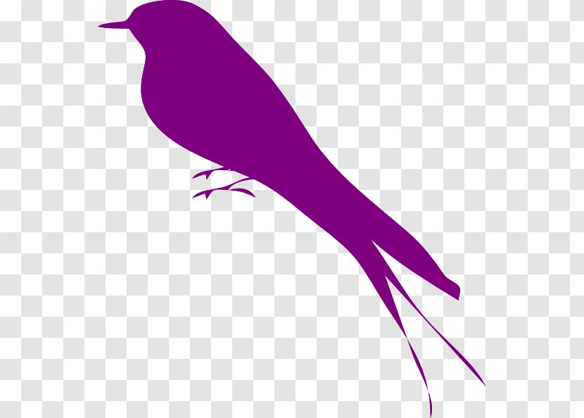 Bird Purple Violet Clip Art - Wing - Photos Icon Transparent PNG