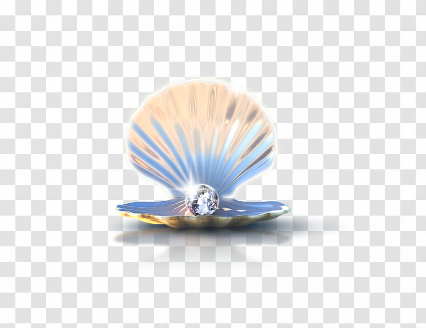 Pearl Icon - Shell Transparent PNG