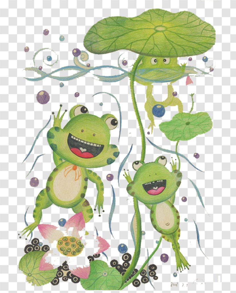 Tree Frog Illustration - Lovely Little Frogs Transparent PNG