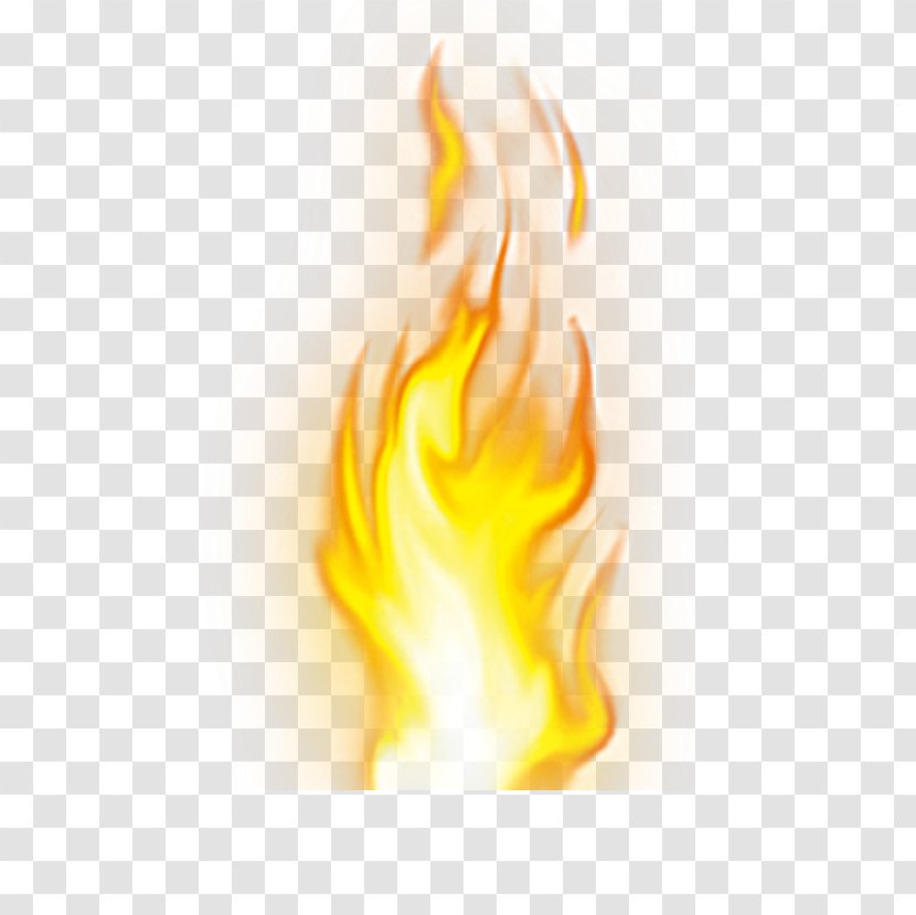 Fire Flame Combustion Download - Orange - Burning Transparent PNG