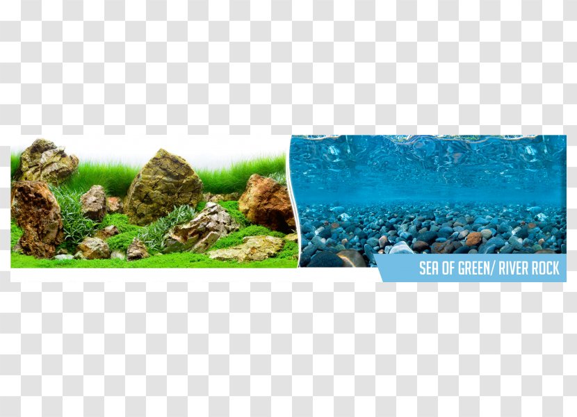 Sea Of Thieves Plastic Aquarium Ecosystem Polyvinyl Chloride - Rock Transparent PNG