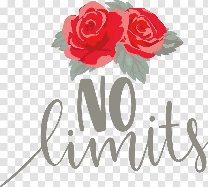 No Limits Dream Future Transparent PNG