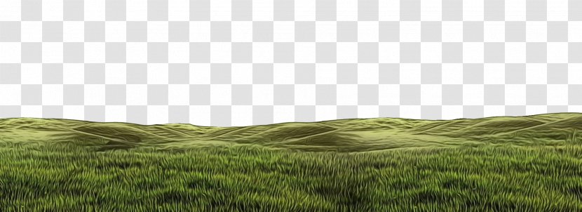 Green Grass Background - Meadow - Road Wind Transparent PNG