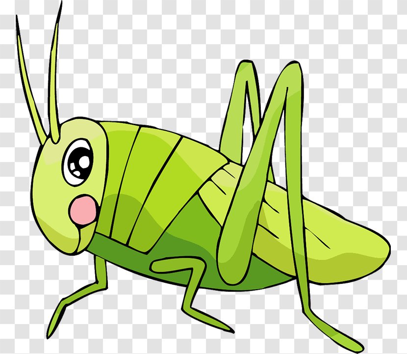 Grasshopper Insect Locust Cartoon Clip Art - Animal Transparent PNG