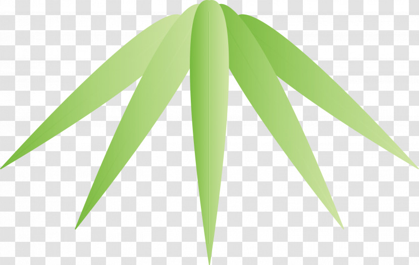 Bamboo Leaf Transparent PNG