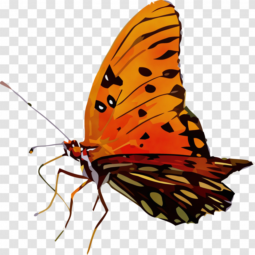 Monarch Butterfly Transparent PNG