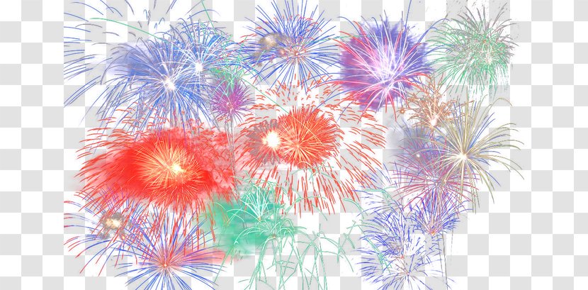 Flora Petal Fxeate Wallpaper - Event - Fireworks Transparent PNG