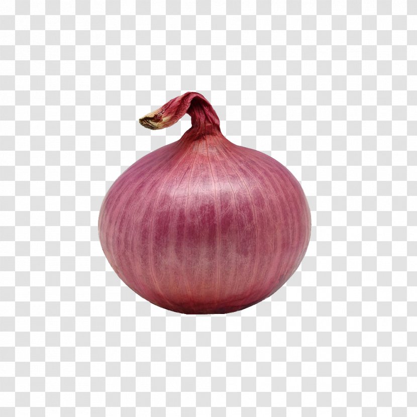 Red Onion Ring Shallot - Fruit - To Freshly Picked Onions Transparent PNG