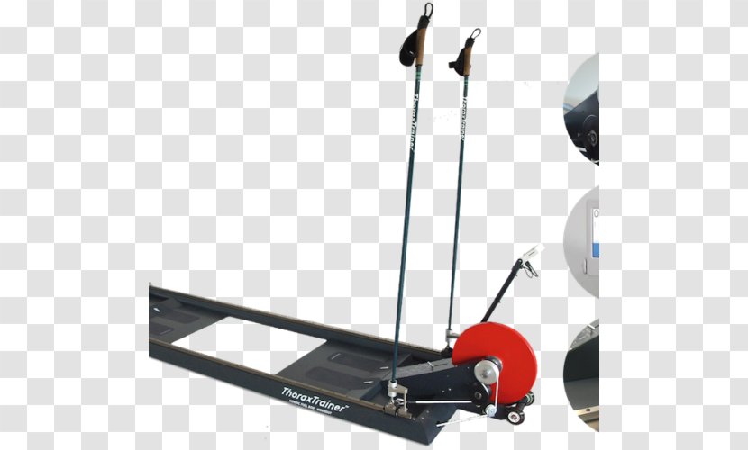 ThoraxTrainer Ltd. Exercise Machine Training - Flower - Ski Poles Transparent PNG