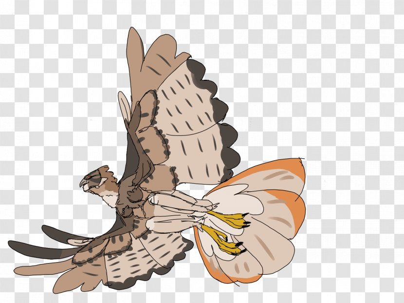 Owl Wing Insect Cartoon - Invertebrate Transparent PNG