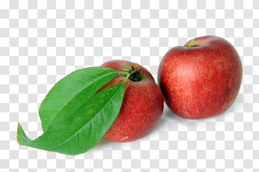 Peach Melba Fruit - Superfood Transparent PNG