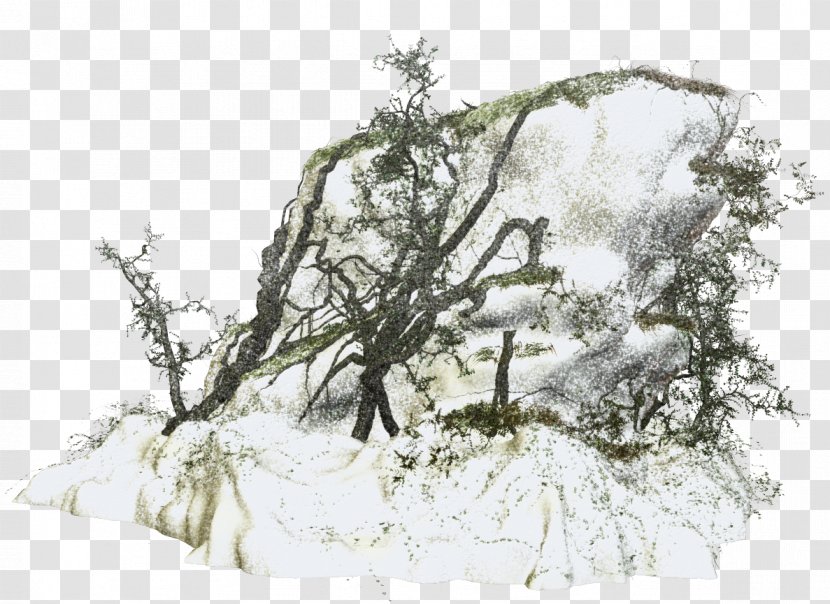 Winter Snow Clip Art - Tree - Branch Transparent PNG