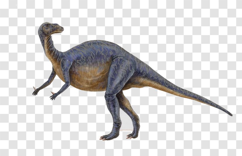 Tyrannosaurus Iguanodon Dinosaur Drawing - Animal Figure - Terror Empire Transparent PNG