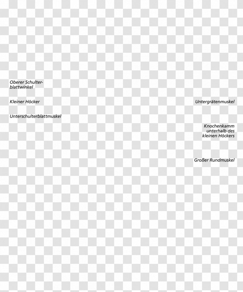 Document Brand Line - Diagram Transparent PNG