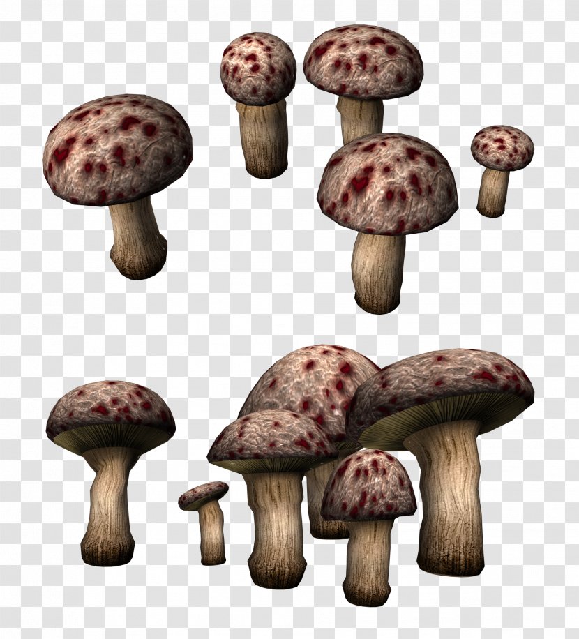 Mushroom Fungus Clip Art - Poisonous Transparent PNG