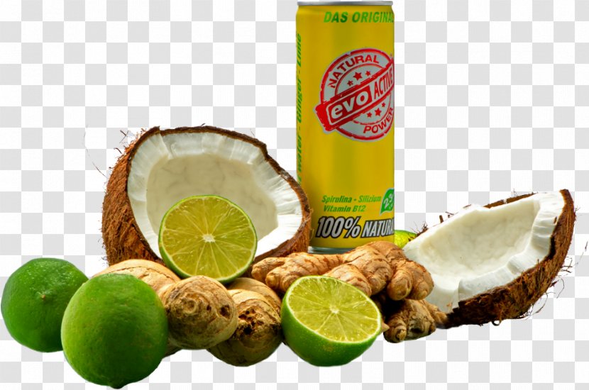 Key Lime Coconut Water Food Lemon Transparent PNG