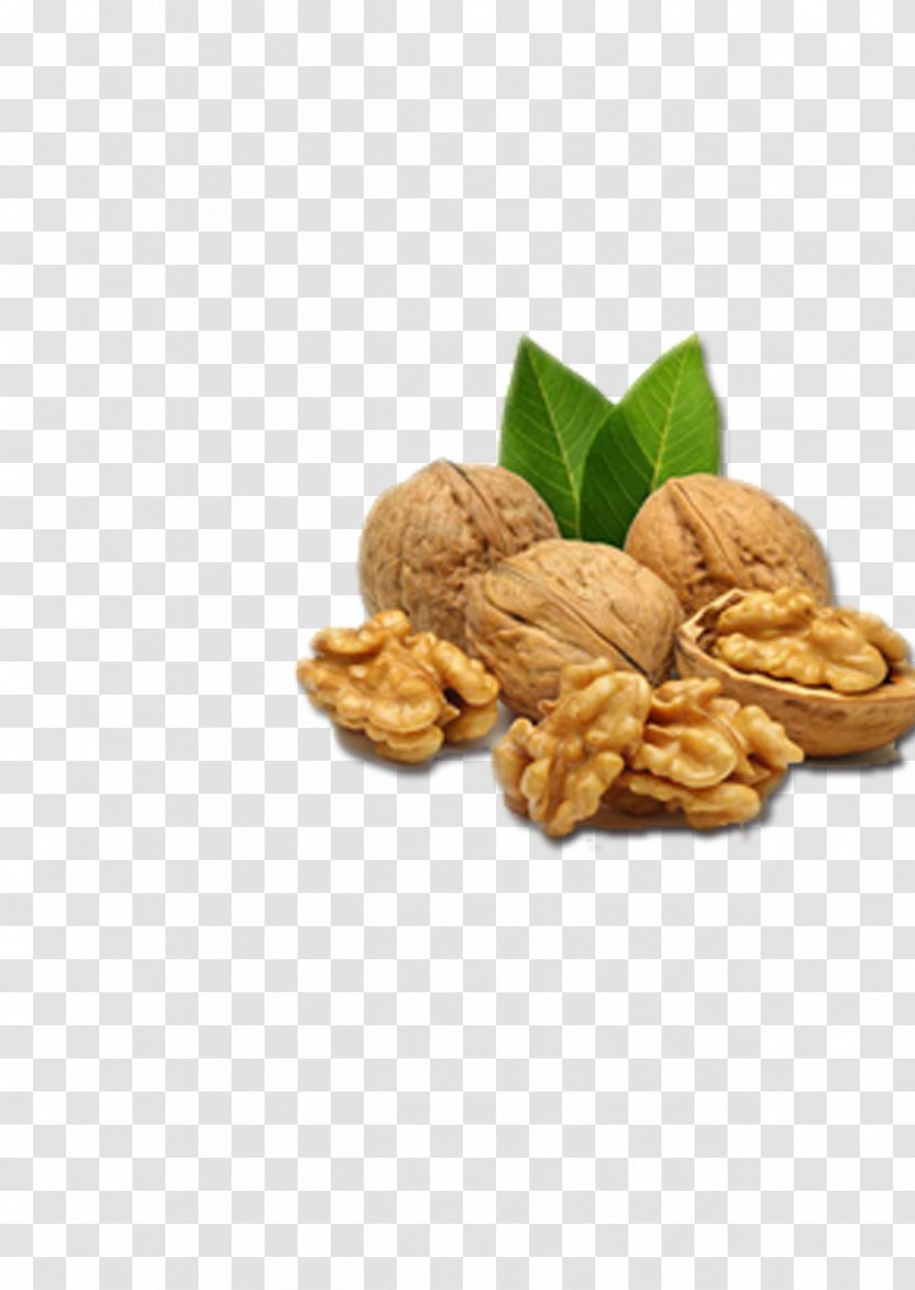 English Walnut Nutrient Seed Auglis - Tree Nuts Transparent PNG