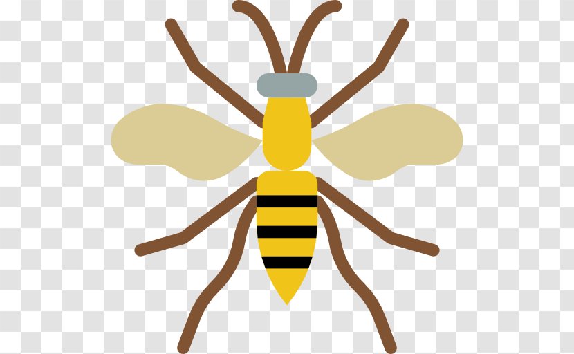 Wasp - Pollinator - Symmetry Transparent PNG