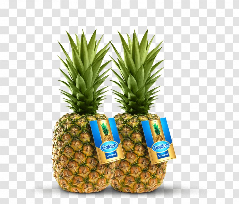 Pineapple Fruit Pitaya Camu Hass Avocado - Antioxidant Transparent PNG
