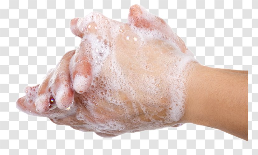 Hygiene Hand Washing Soap Chloroxylenol - Cartoon Transparent PNG