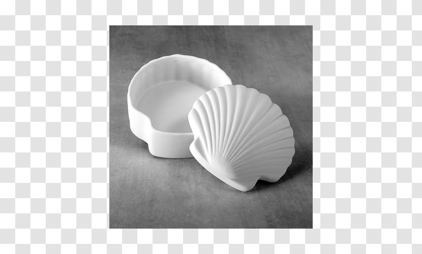 Seashell Nautiluses Material - Petal Transparent PNG