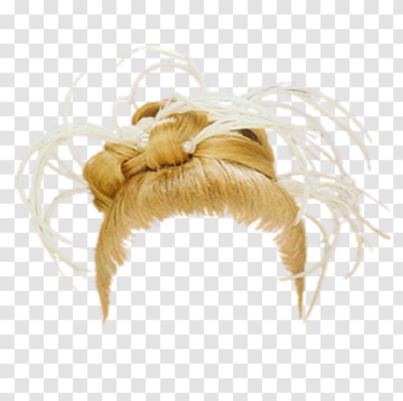 Computer Software Hairstyle - Feather - Blog Transparent PNG