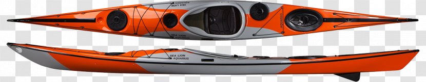 Sea Lion Leopard Kayak Boat Transparent PNG