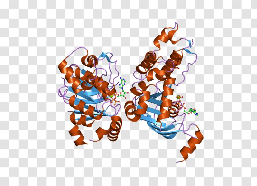 Cystic Fibrosis Transmembrane Conductance Regulator Mutation ΔF508 Gene Membrane Protein - Organism - Chromosome 7 Transparent PNG