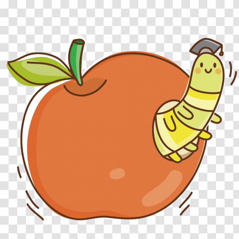 Apple Clip Art - Orange - Insects Transparent PNG