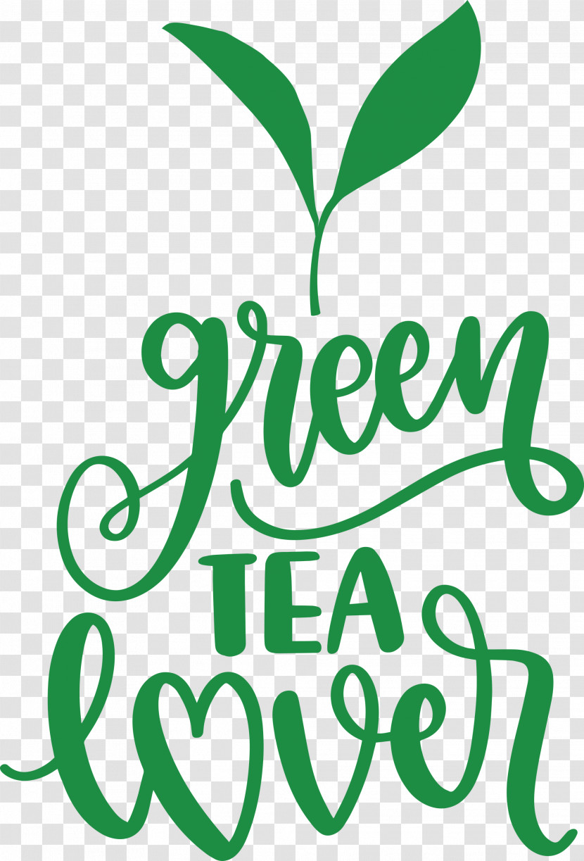Green Tea Lover Tea Transparent PNG