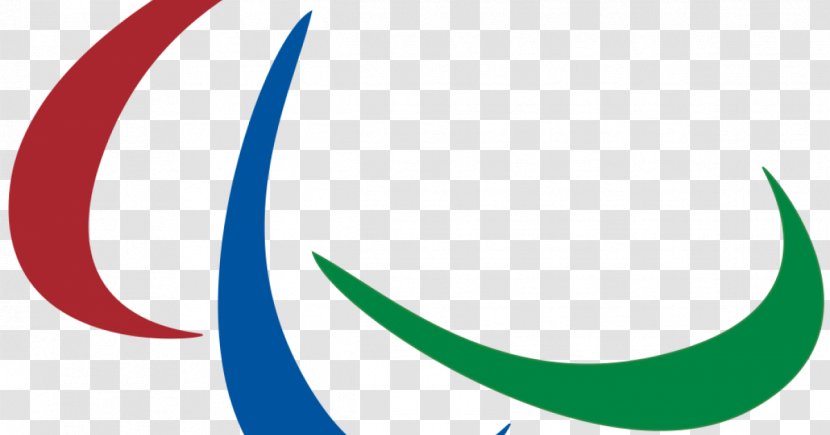 International Paralympic Committee 2016 Summer Paralympics Olympic Games Athlete Disability - Sport - Text Transparent PNG