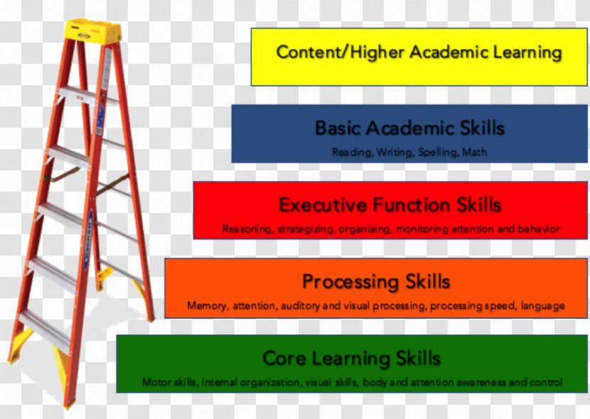 Study Skills Learning Student Adolescent Literacy - Employability - Ladder Of Success Transparent PNG