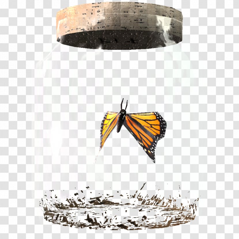 Bee The Elder Scrolls V: Skyrim Butterfly Insect Jar Transparent PNG