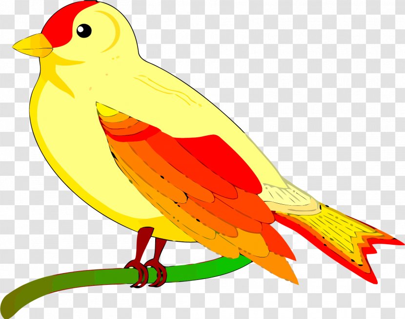 Bird Clip Art - Organism Transparent PNG